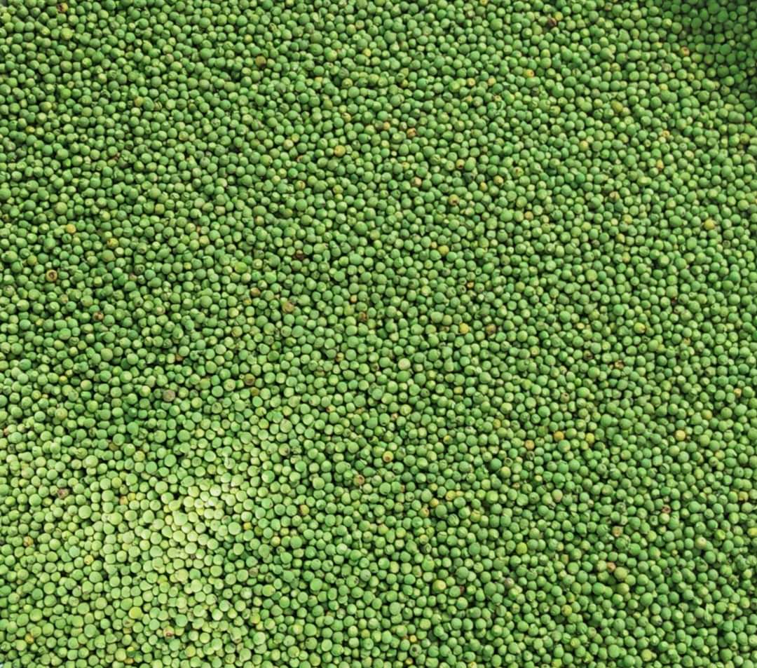 Product Info Image 3